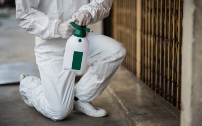 Signs You Need Emergency Pest Control And What to Do First