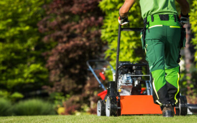 The Cost of Lawn Care in Houston: What to Expect in 2024