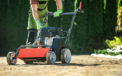 The Cost of Lawn Care in Houston: What to Expect in 2024