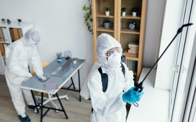 Say Goodbye to Pests with Reliable Quarterly Pest Control in Houston