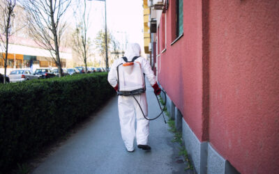 Protect Your Resident and Commercial with Expert Pest Control