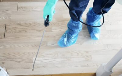 How to prepare your home for professional pest treatments?
