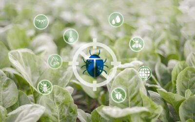 How pest infestations can change the Indoor Air Quality?