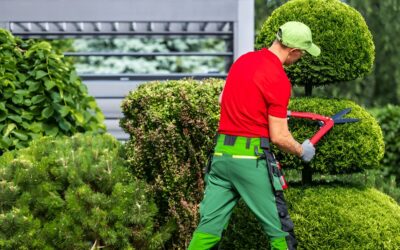 Healthy Shrubs and a Spider-Free Home- Smart Outdoor Care for Houston Properties