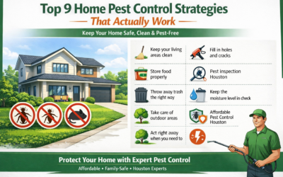 Top 9 Home Pest Control Strategies That Actually Work