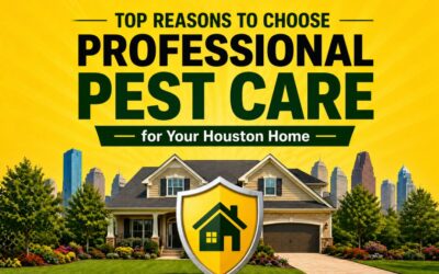 Top Reasons to Choose Professional Pest Care for Your Houston Home