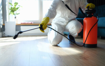 Why Quarterly Pest Control Is One of the Smartest Investments for Homeowners