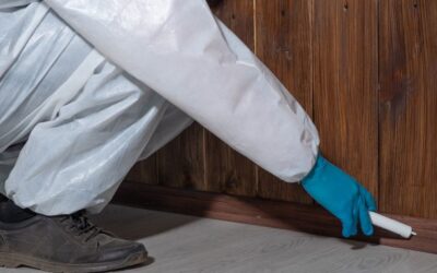 5 Warning Signs You May Need Professional Rodent Control Spring TX Services