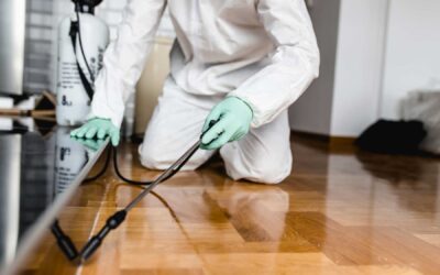 How to Choose a Reliable Houston Pest Control Service Without Overspending