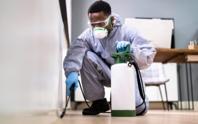 Why Fast Residential Pest Control Houston Services Matter During Sudden Infestations