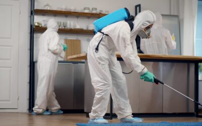 Protect Your Space with Professional Pest Control Services in Houston, TX