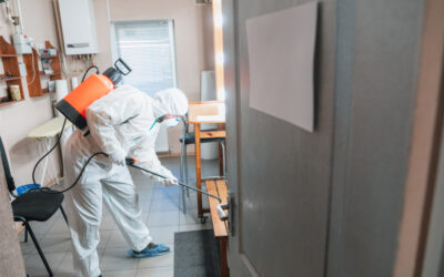 Protect Your Family with Reliable Quarterly Pest Control Solutions