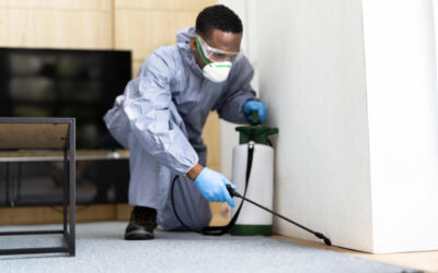 Why Local Experts Matter for Emergency Pest Control in Houston