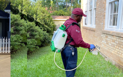 How Quickly Can Emergency Pest Control Solve My Pest Problem?