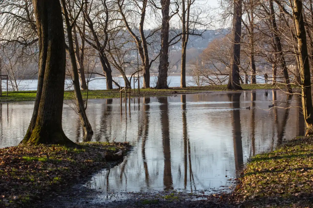 a-flooded-park-during-high-tide-of-the-river-rhine-2025-02-11-21-10-24-utc-1280x853.jpeg (1)_11zon A Flooded Park During High Tide Of The River Rhine 2025 02 11 21 10 24 Utc 1280x853.jpeg 1 11zon