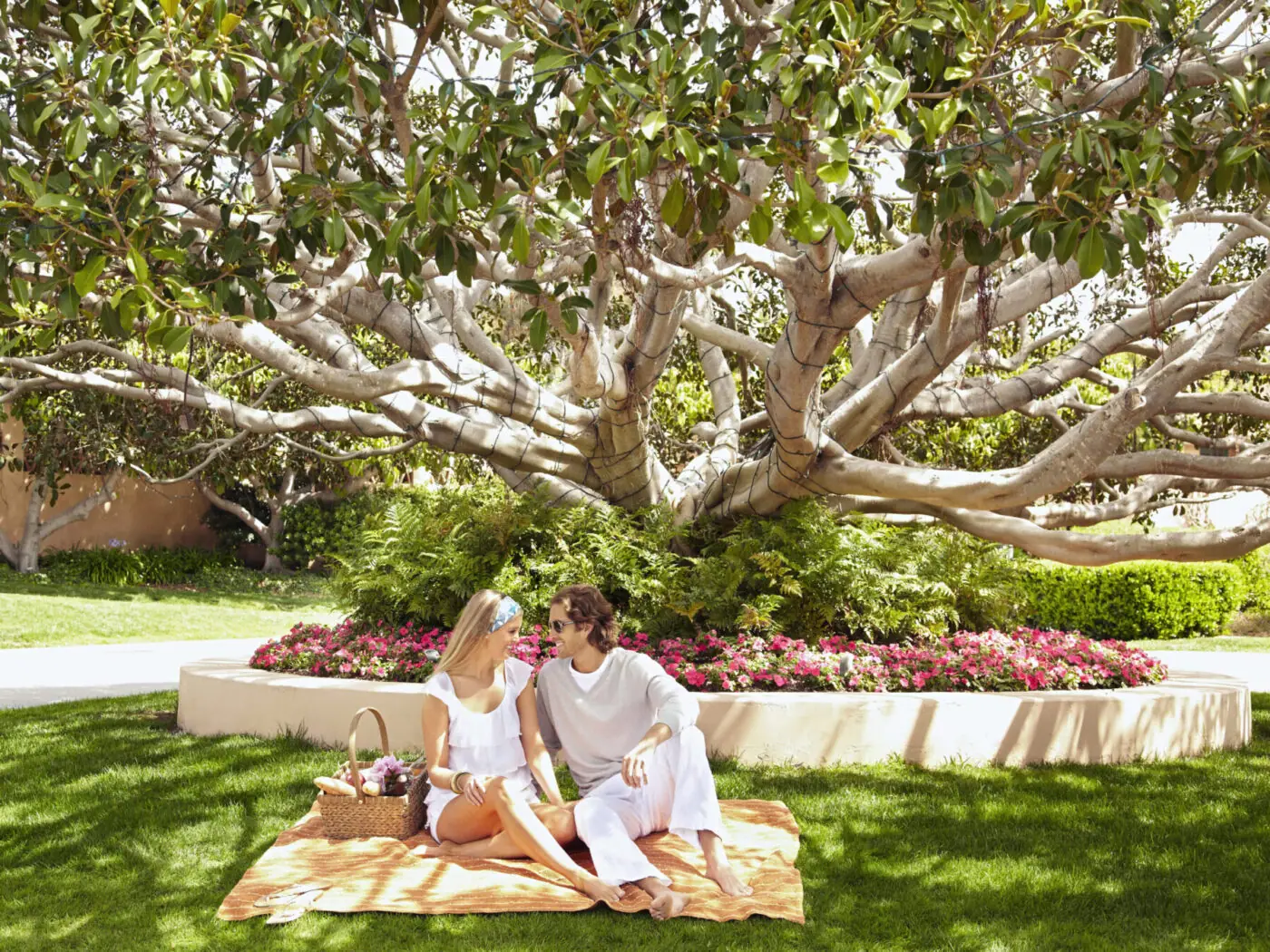 Caucasian Couple Having Picnic 2023 11 27 05 02 42 Utc Scaled 3