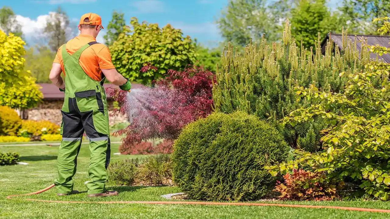 men-watering-garden-plants-2023-11-27-04-49-36-utc-scaled-2 (2)_11zon (1) men-watering-garden-plants
