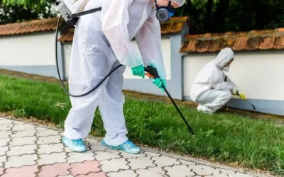 How Residential Pest Control Helps Protect Your Property Value
