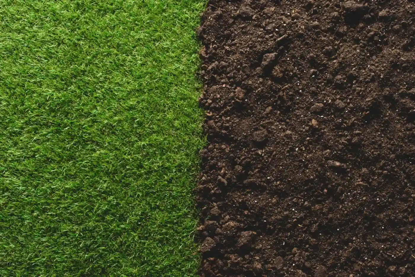 soil health2