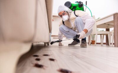 When to Consider Pet-Friendly Emergency Pest Control in Houston