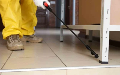 The Importance of Frequent Pest Inspections for Houston Properties