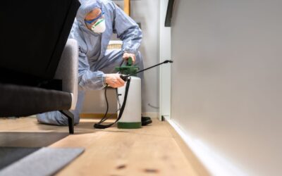 The Benefits of Quarterly Pest Control Services