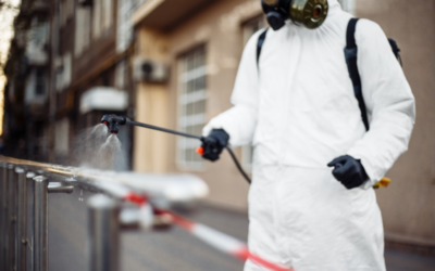 Pest Control in Houston and Crosby, TX: Maintaining a Pest-Free Property