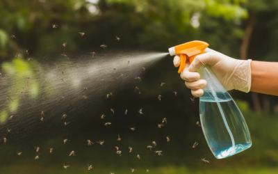 Mosquito Control: Enjoy a More Comfortable Outdoor Space